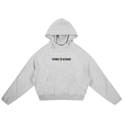 Permission Granted (Permis Accorde) Curved Panel Raglan Hoodie